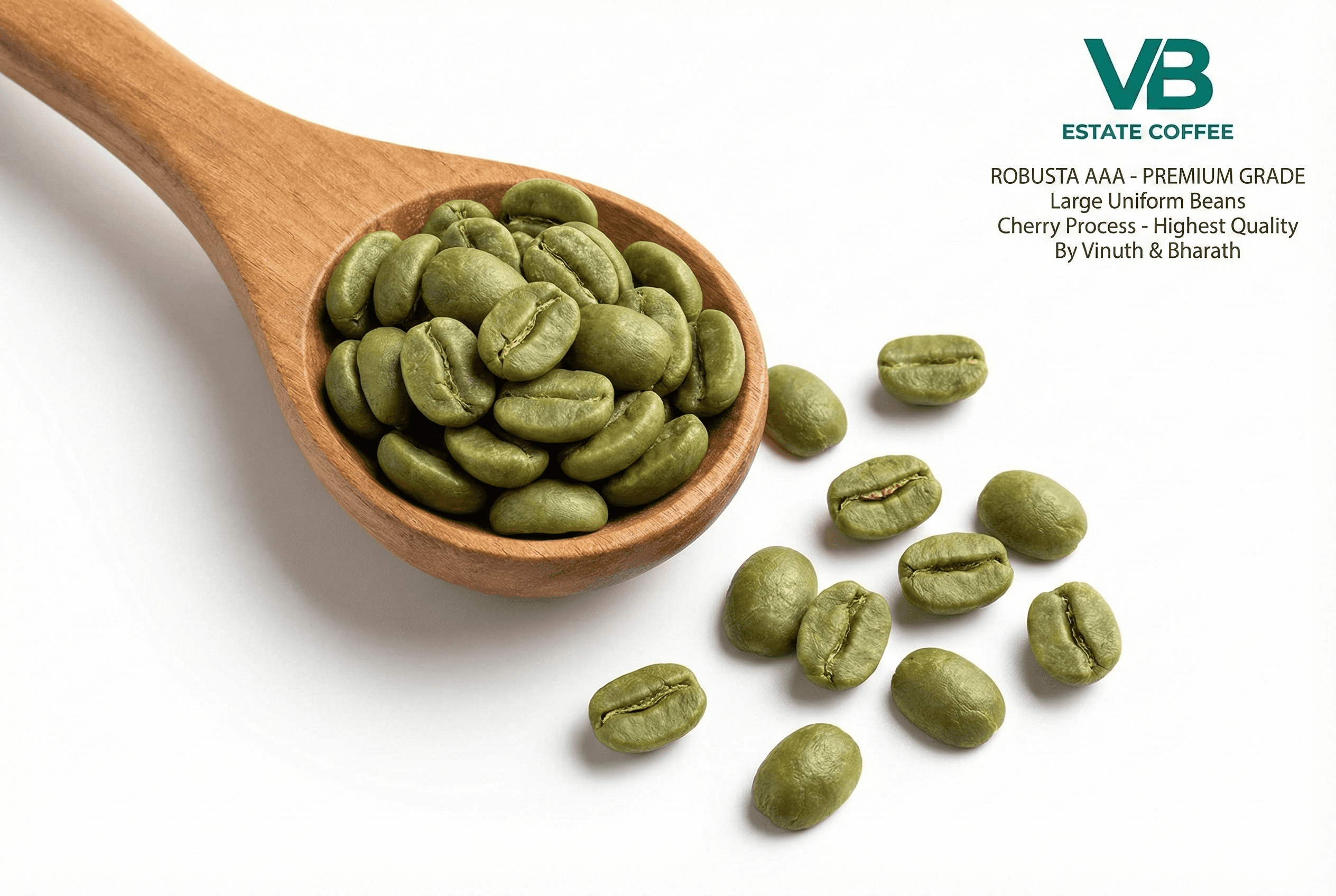 Robusta Screen 18 (AAA Grade) - Green - Indian Coffee Export | VB Exports